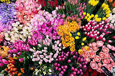 《守望先锋：归来》Bug让堡垒拥有了恐怖火力 玩家懵逼