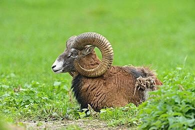 高能电玩节：《双点校园》巫术系视频公布